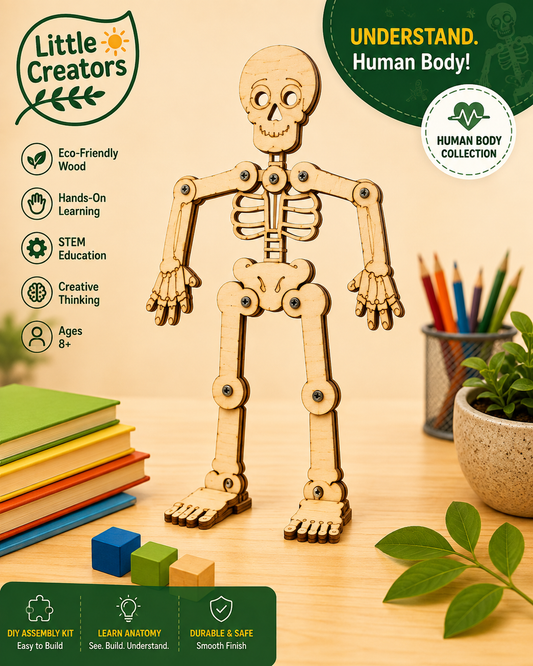 Skeleton Medium